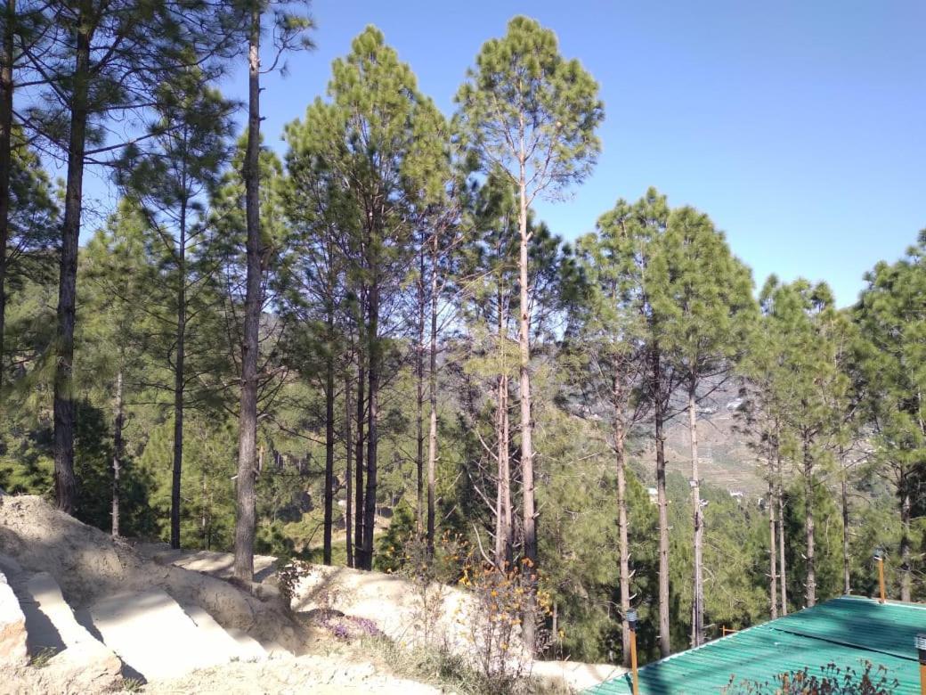 Pauri Nature Villaas Basa Homestay מראה חיצוני תמונה